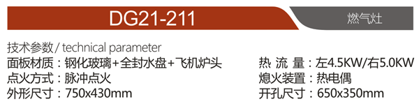 DG21-211.png