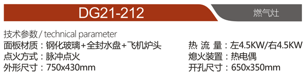 DG21-212.png