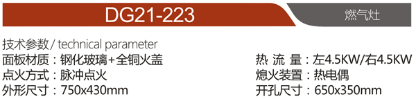 DG21-223.png