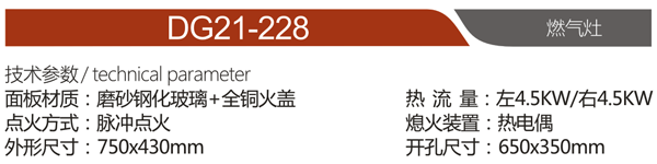 DG21-228.png